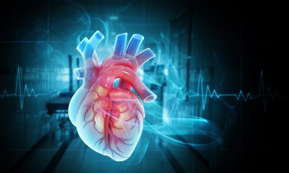 privatärztliche kardiologische Leistungen